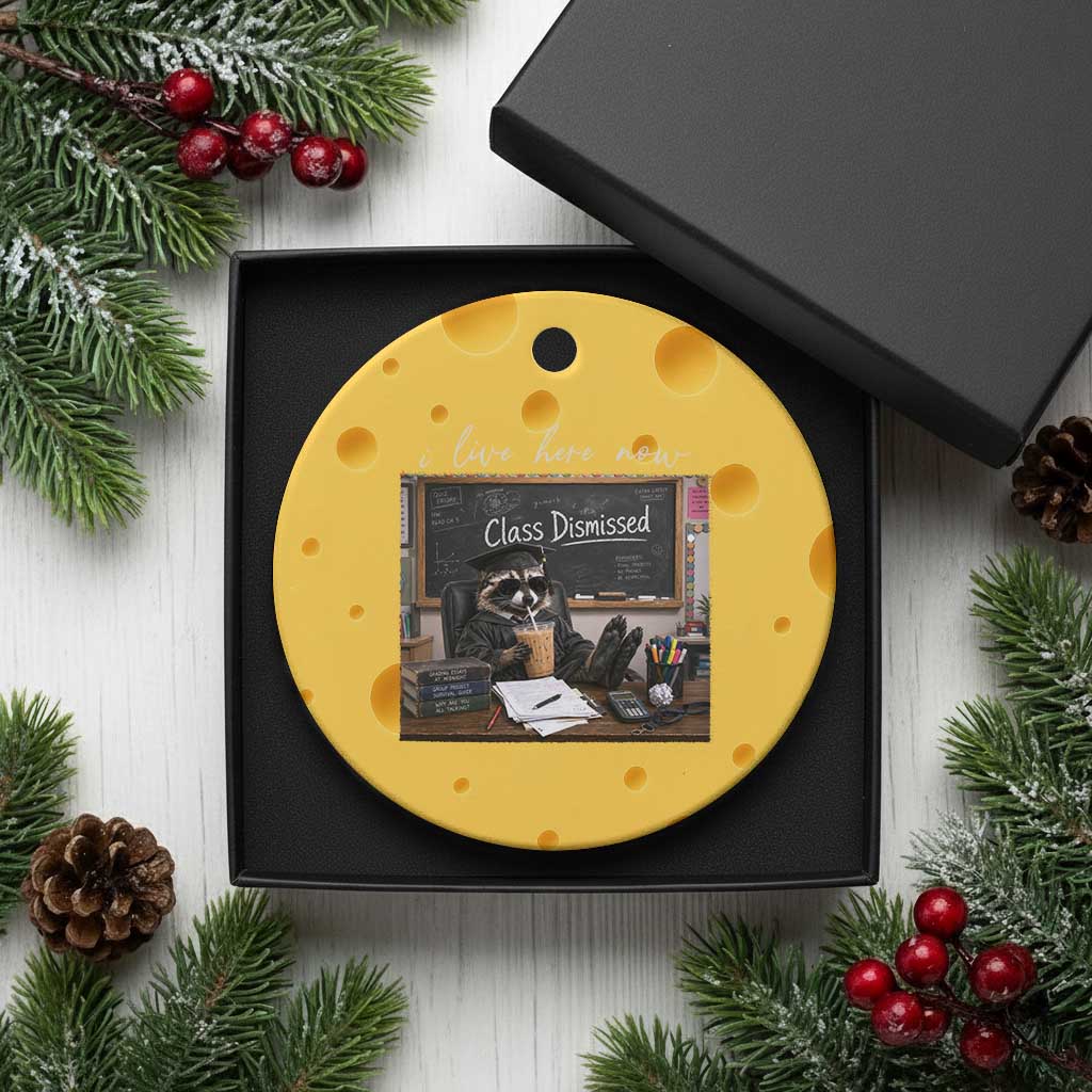 Funny Raccoon Graduation Ceramic Ornament I Live Here Now TS14 1pc Yellow Cheese Print Your Wear