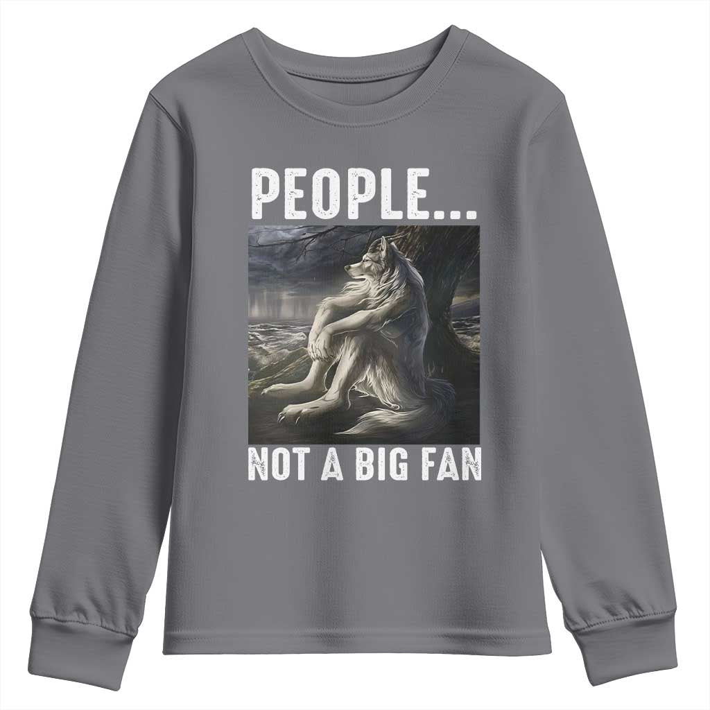 Funny Alpha Wolf Meme Youth Sweatshirt Sarcastic People Not A Big Fan TS14 Charcoal Print Your Wear