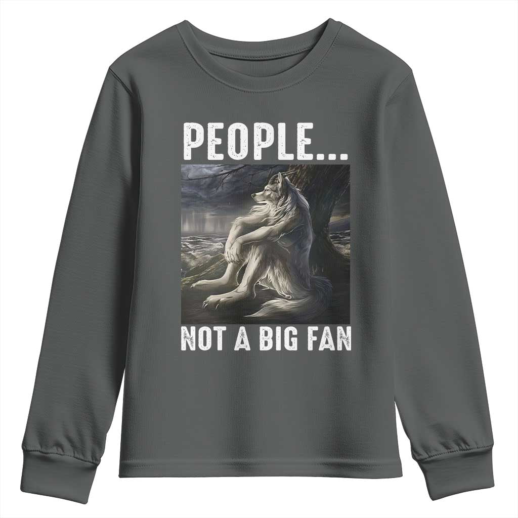 Funny Alpha Wolf Meme Youth Sweatshirt Sarcastic People Not A Big Fan TS14 Dark Heather Print Your Wear