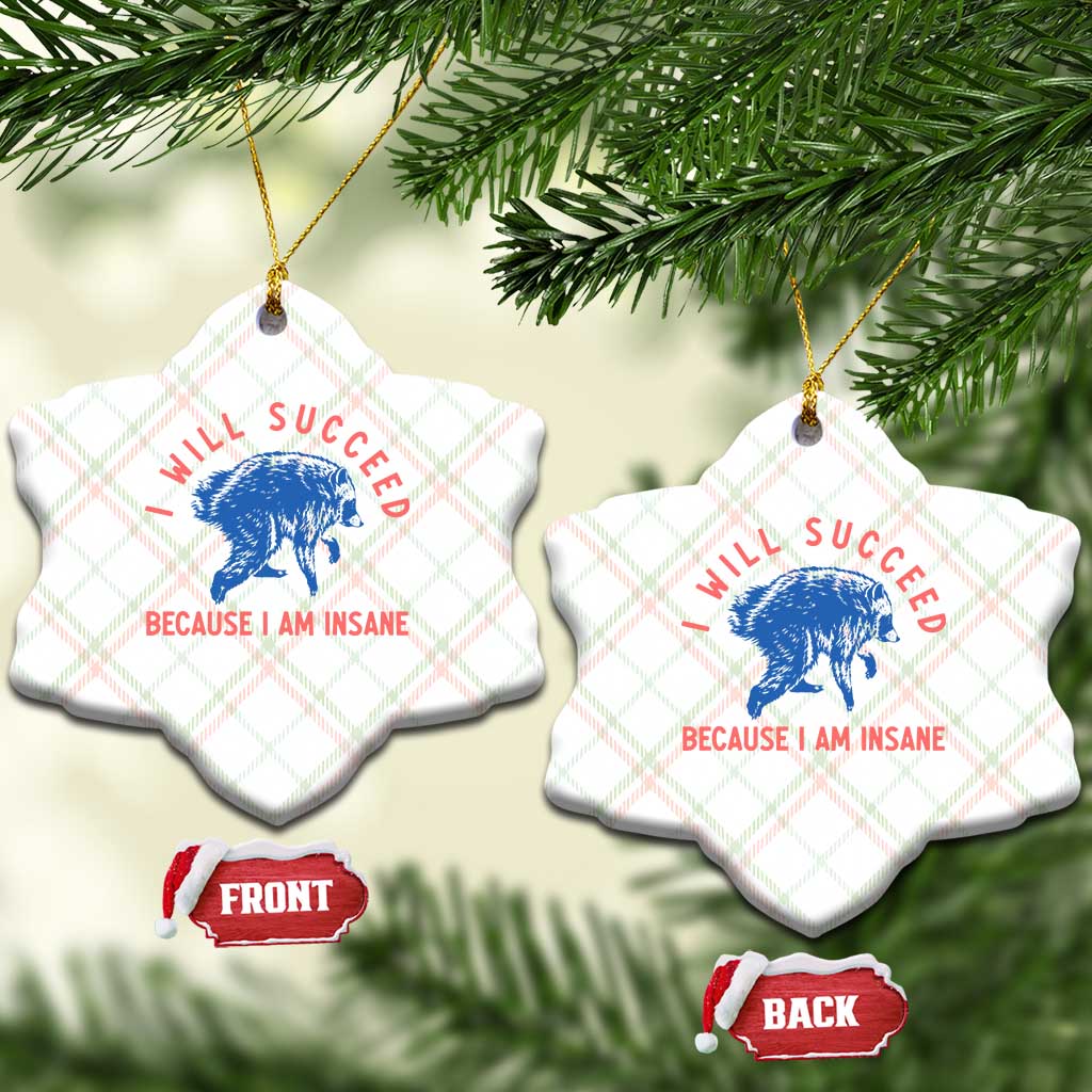 I Will Succeed Because I Am Insane Ceramic Ornament Funny Jimothy Raccoon Meme