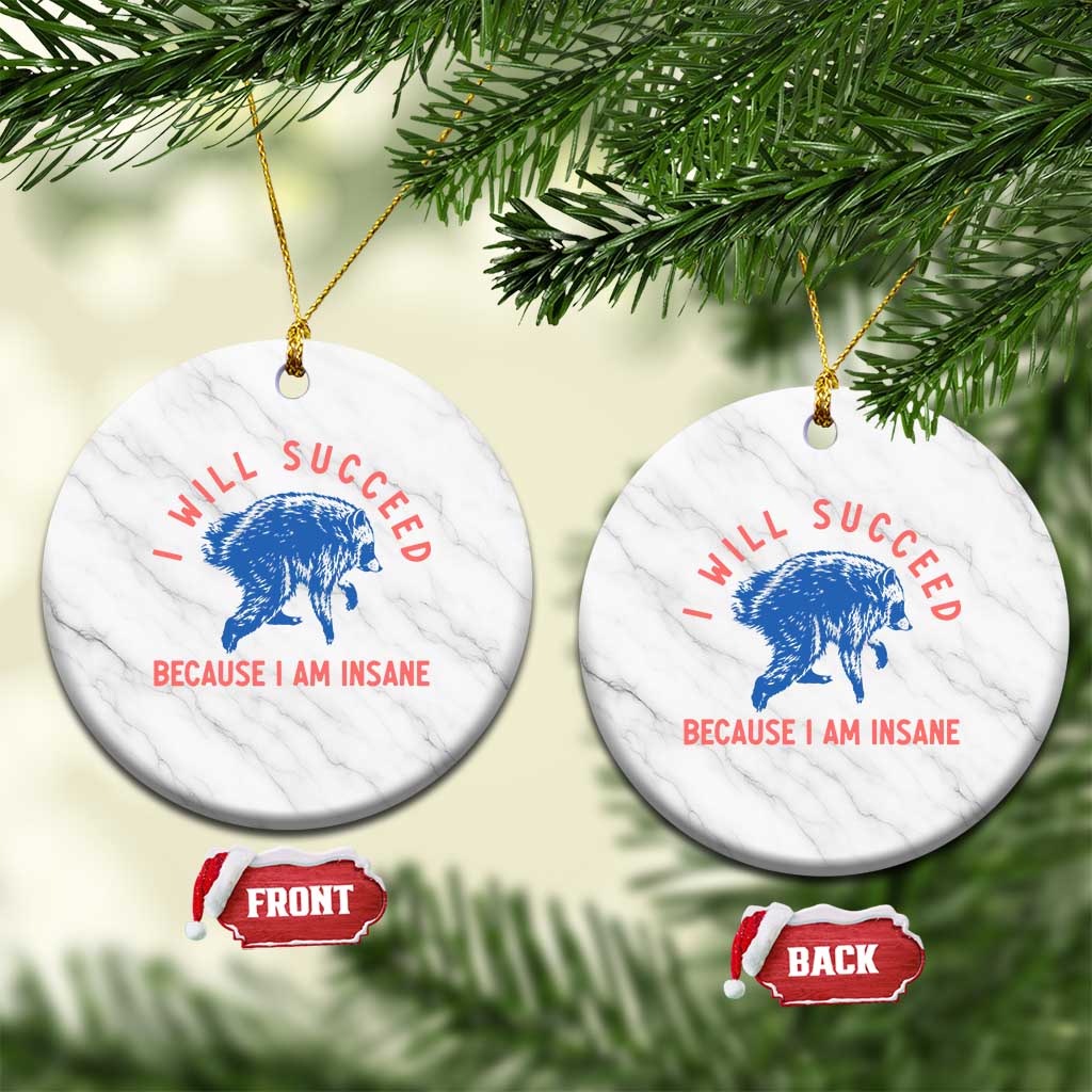 I Will Succeed Because I Am Insane Ceramic Ornament Funny Jimothy Raccoon Meme TS14 1pc White Marble Print Your Wear