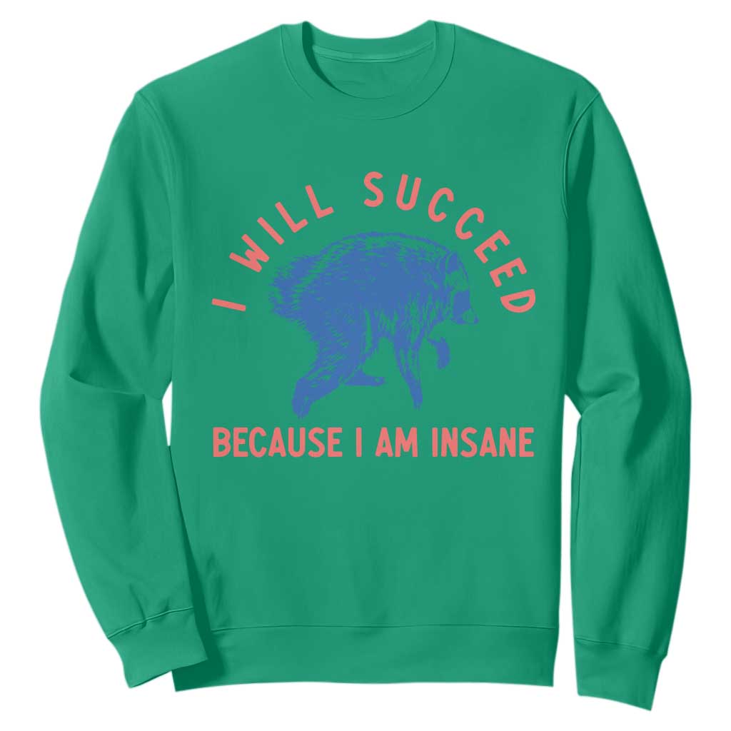 I Will Succeed Because I Am Insane Sweatshirt Funny Jimothy Raccoon Meme
