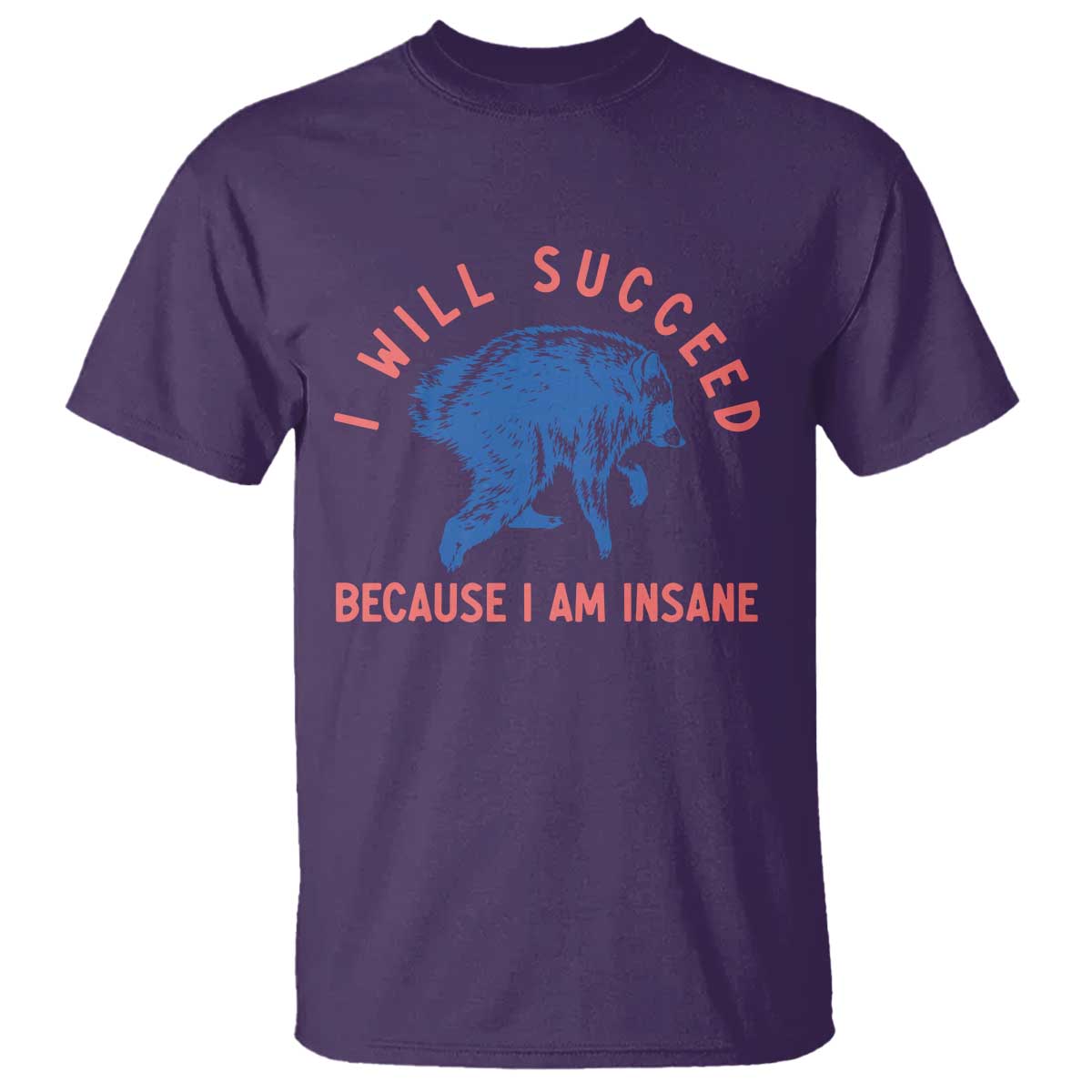 I Will Succeed Because I Am Insane T Shirt Funny Jimothy Raccoon Meme