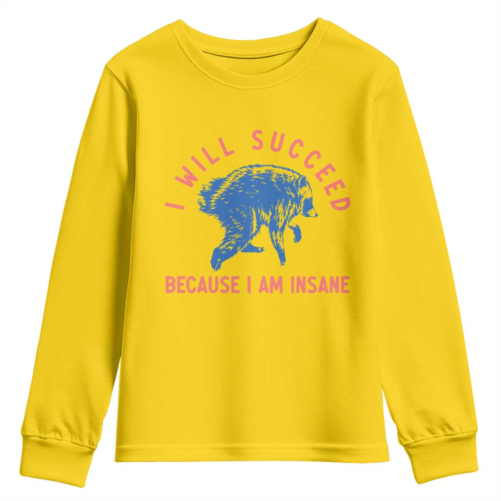 I Will Succeed Because I Am Insane Youth Sweatshirt Funny Jimothy Raccoon Meme