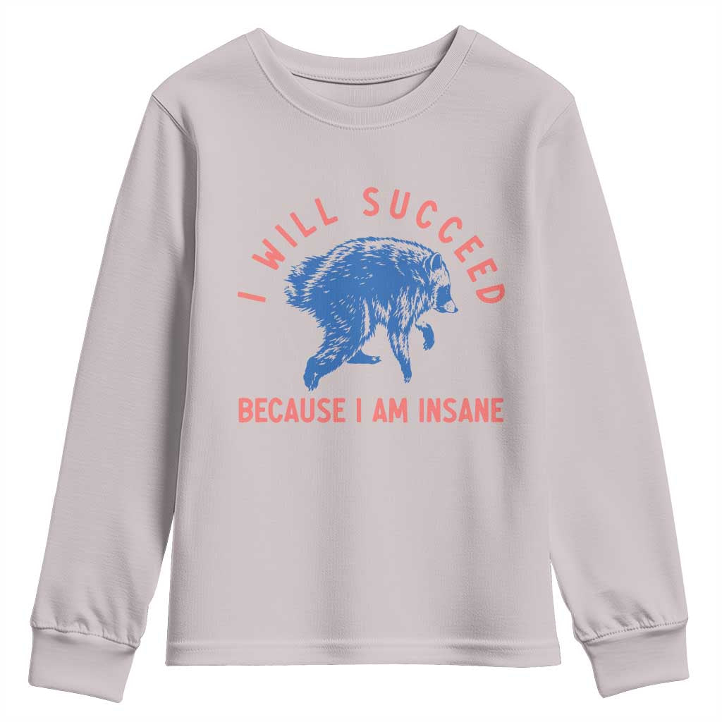 I Will Succeed Because I Am Insane Youth Sweatshirt Funny Jimothy Raccoon Meme