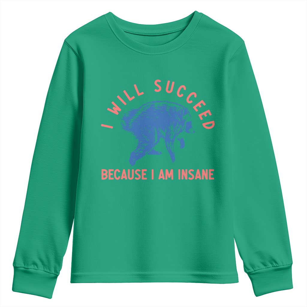I Will Succeed Because I Am Insane Youth Sweatshirt Funny Jimothy Raccoon Meme