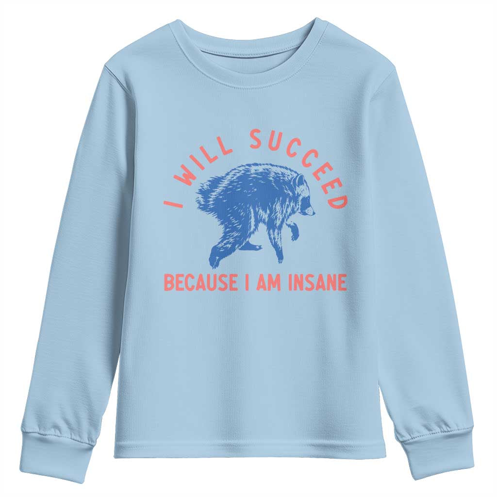 I Will Succeed Because I Am Insane Youth Sweatshirt Funny Jimothy Raccoon Meme
