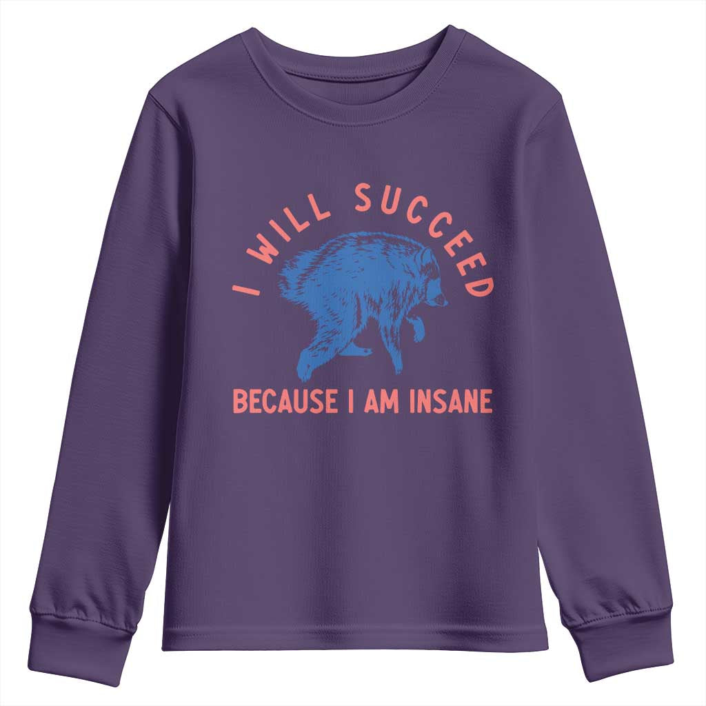 I Will Succeed Because I Am Insane Youth Sweatshirt Funny Jimothy Raccoon Meme