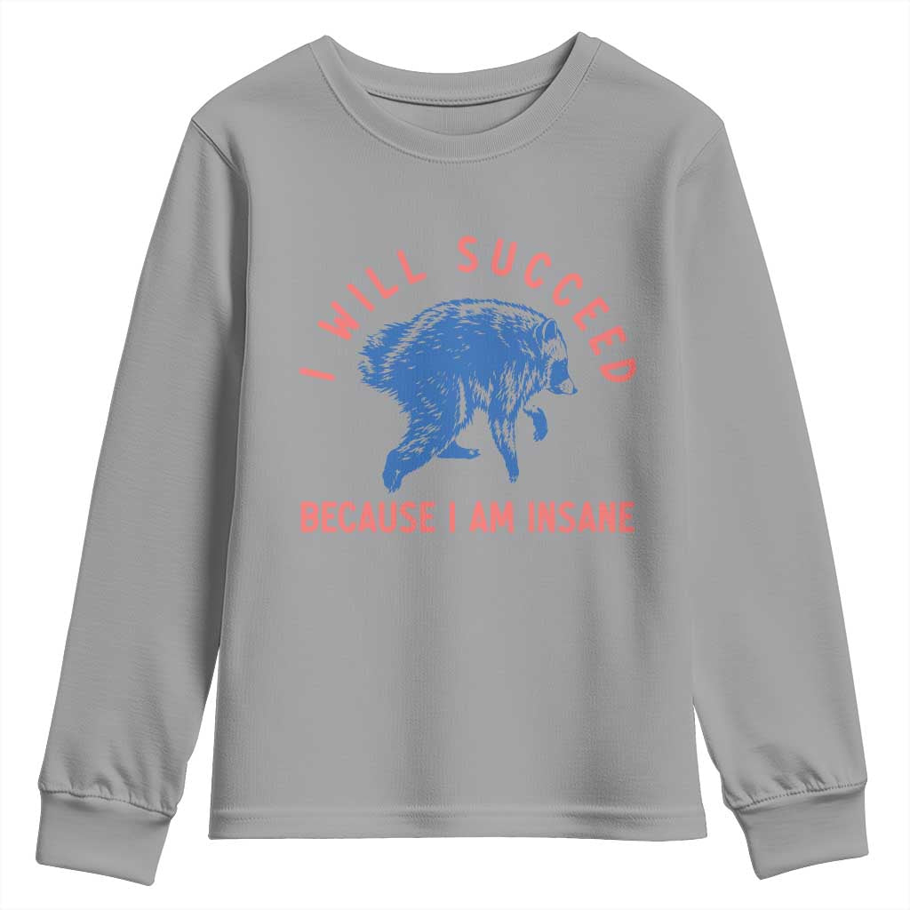 I Will Succeed Because I Am Insane Youth Sweatshirt Funny Jimothy Raccoon Meme