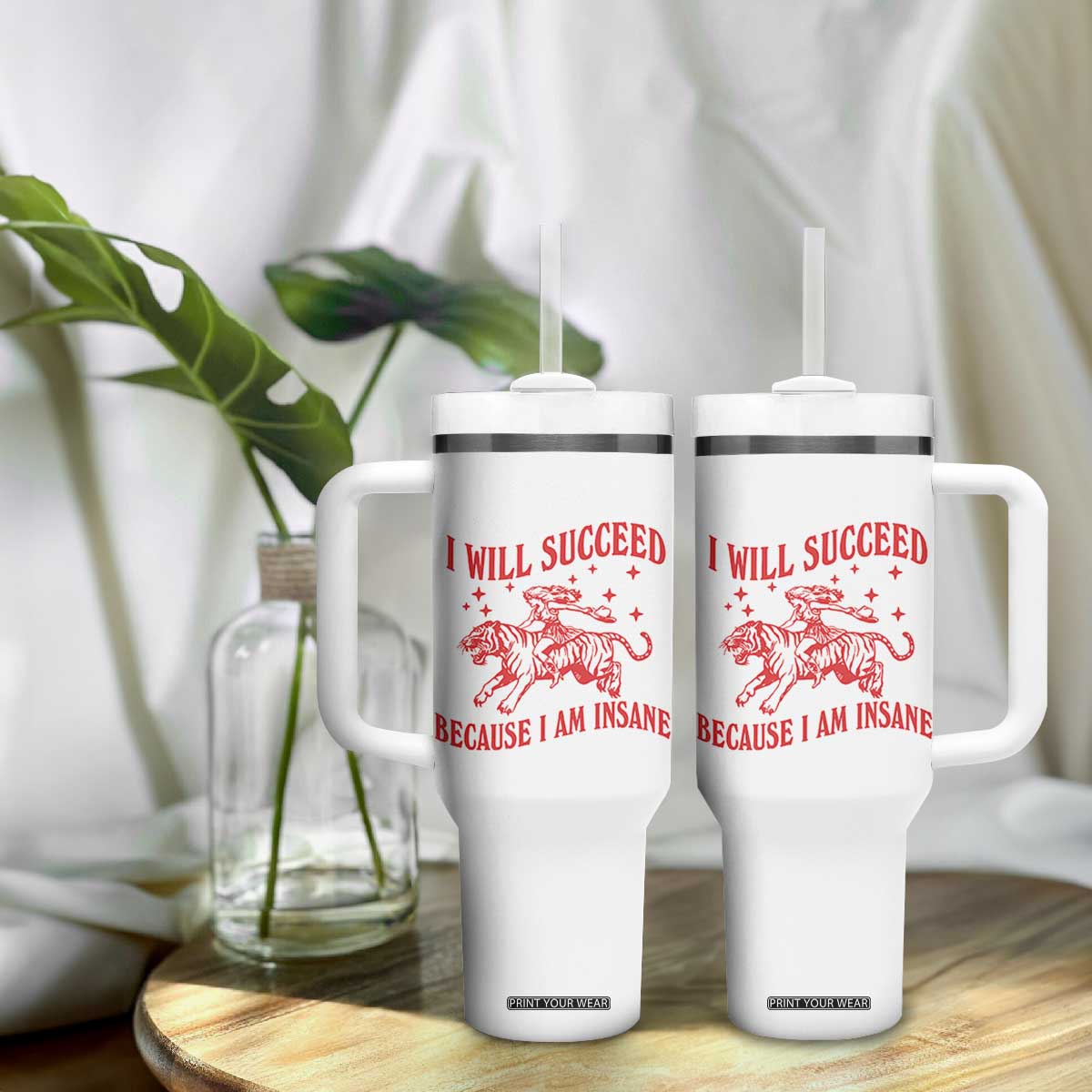 I Will Succeed Because I Am Insane Tumbler With Handle Funny Cowgirl Tiger Sarcastic Humor