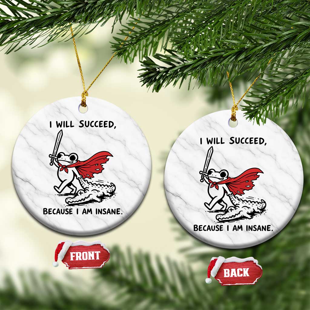 I Will Succeed Because I Am Insane Ceramic Ornament Funny Frog Sarcastic Humor TS14 1pc White Marble Print Your Wear