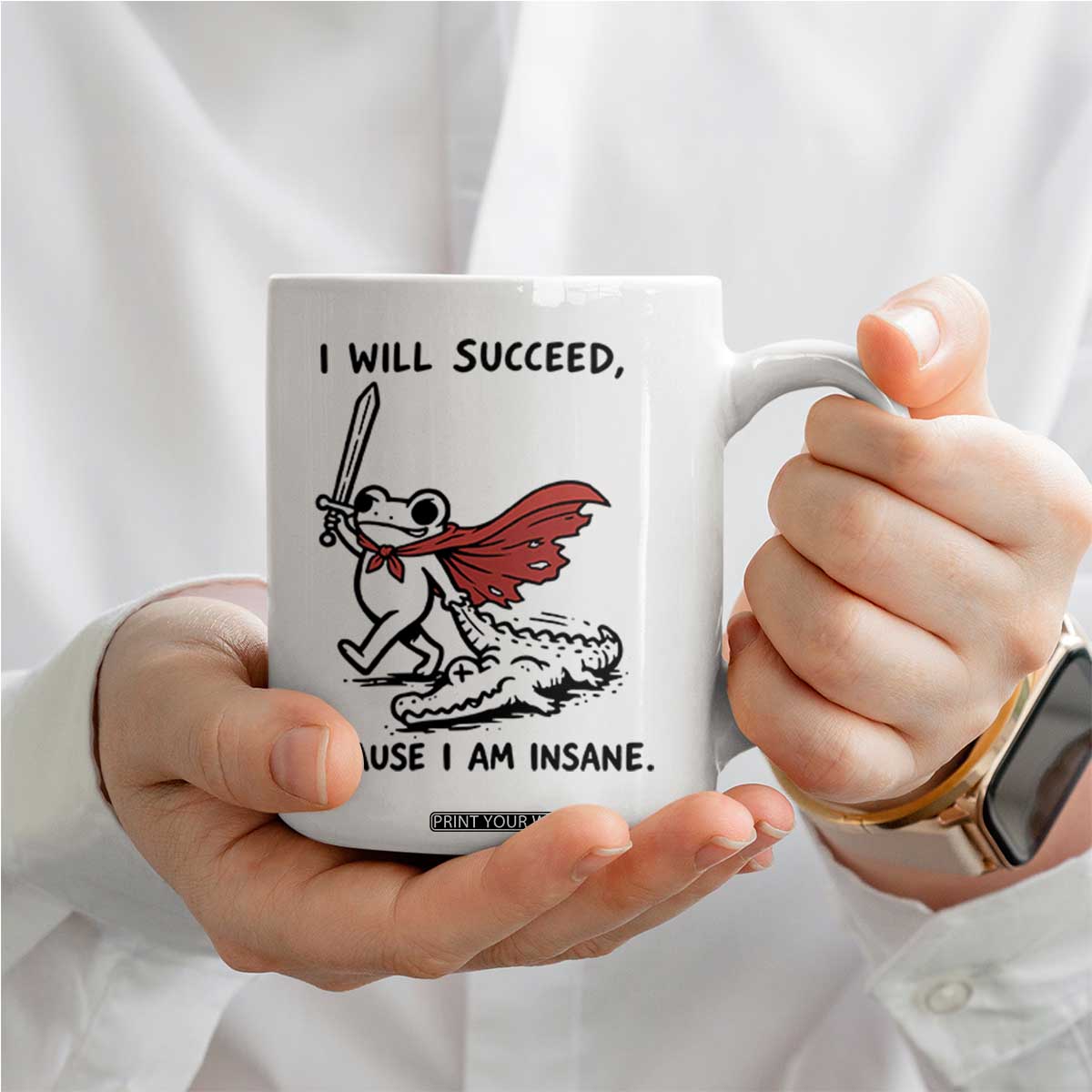 I Will Succeed Because I Am Insane Coffee Mug Funny Frog Sarcastic Humor