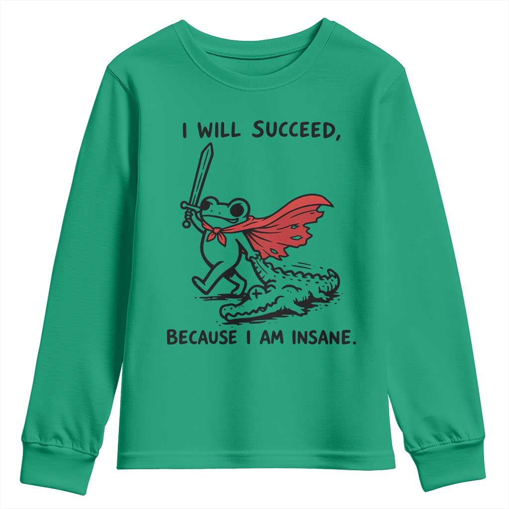 I Will Succeed Because I Am Insane Youth Sweatshirt Funny Frog Sarcastic Humor