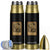 Virgin Mary Bullet Tumbler Angel Gabriel Luke 1:30 Christian TS14 Black Print Your Wear