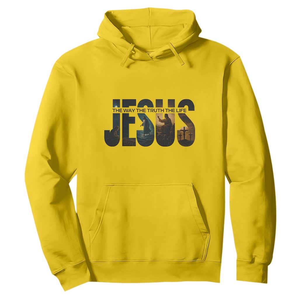 Jesus Christian Bible Hoodie The Way The Truth The Life TS14 Daisy Print Your Wear