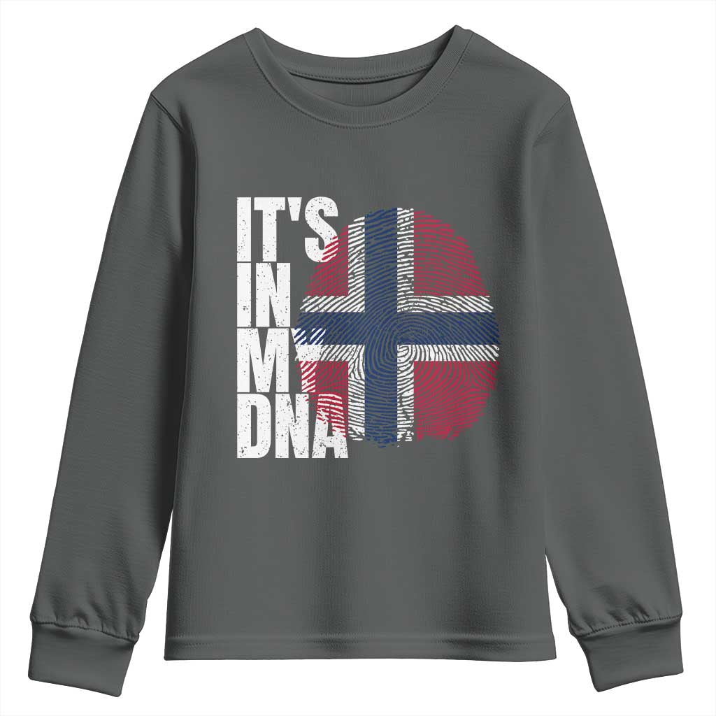 It's in My DNA Norway Norwegian Flag Pride Youth Sweatshirt TS14 Dark Heather Print Your Wear