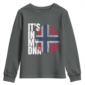 It's in My DNA Norway Norwegian Flag Pride Youth Sweatshirt TS14 Dark Heather Print Your Wear