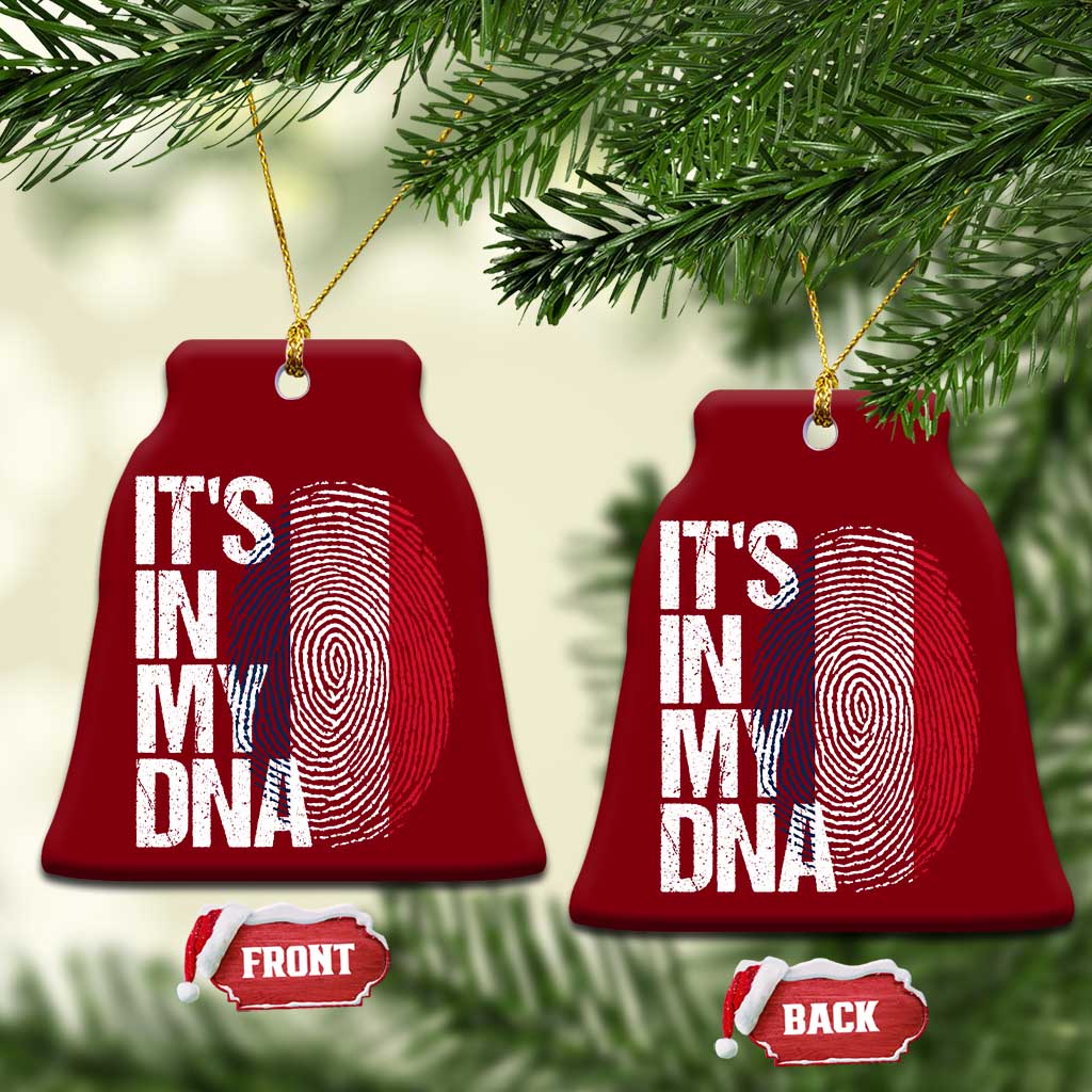 It's in My DNA France French Flag Ceramic Ornament TS14 Print Your Wear