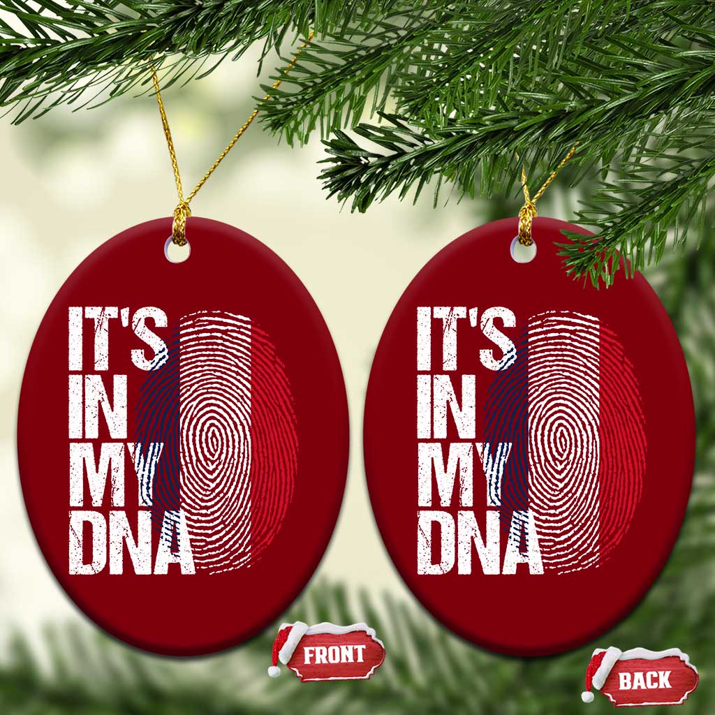 It's in My DNA France French Flag Ceramic Ornament TS14 Print Your Wear