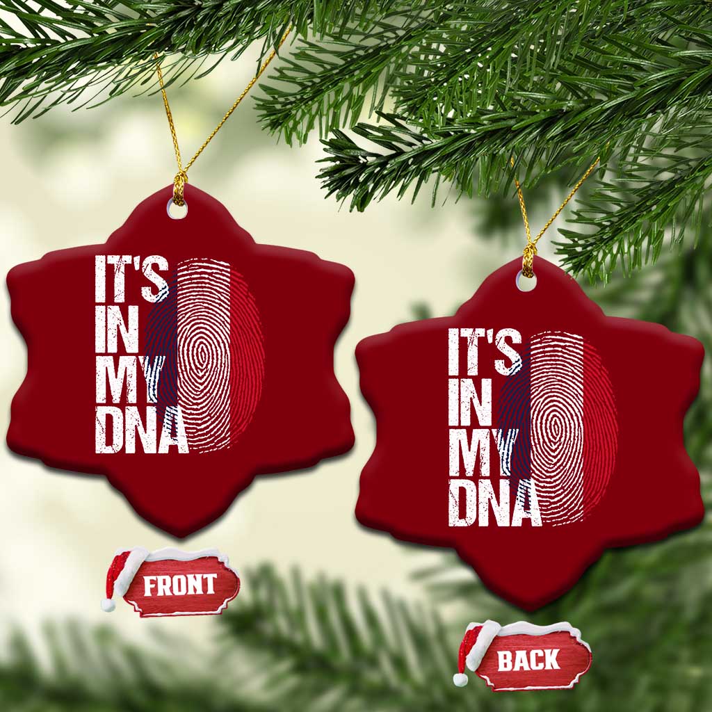 It's in My DNA France French Flag Ceramic Ornament TS14 Print Your Wear