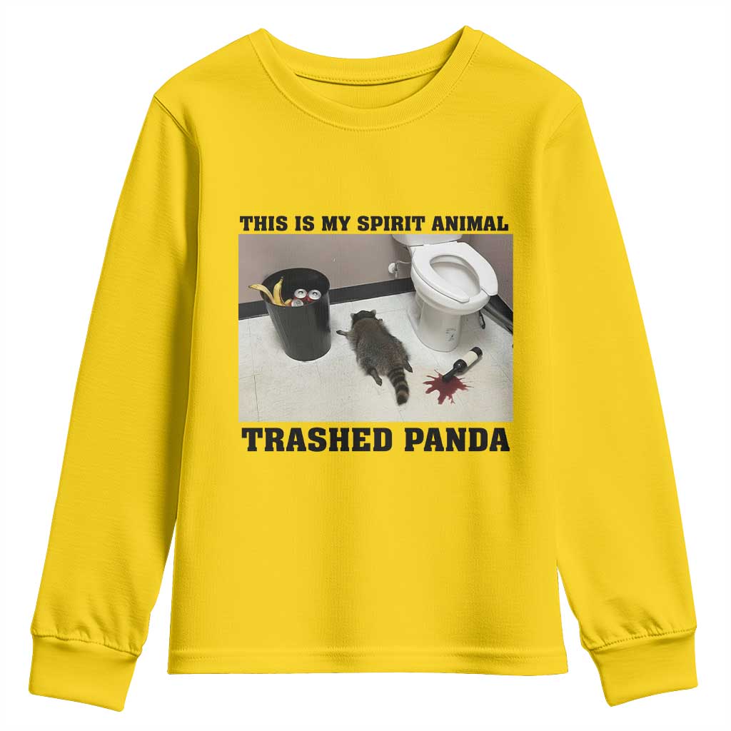 Trashed Panda Youth Sweatshirt My Spirit Animal Funny Drunk Raccoon Meme TS14 Daisy Print Your Wear