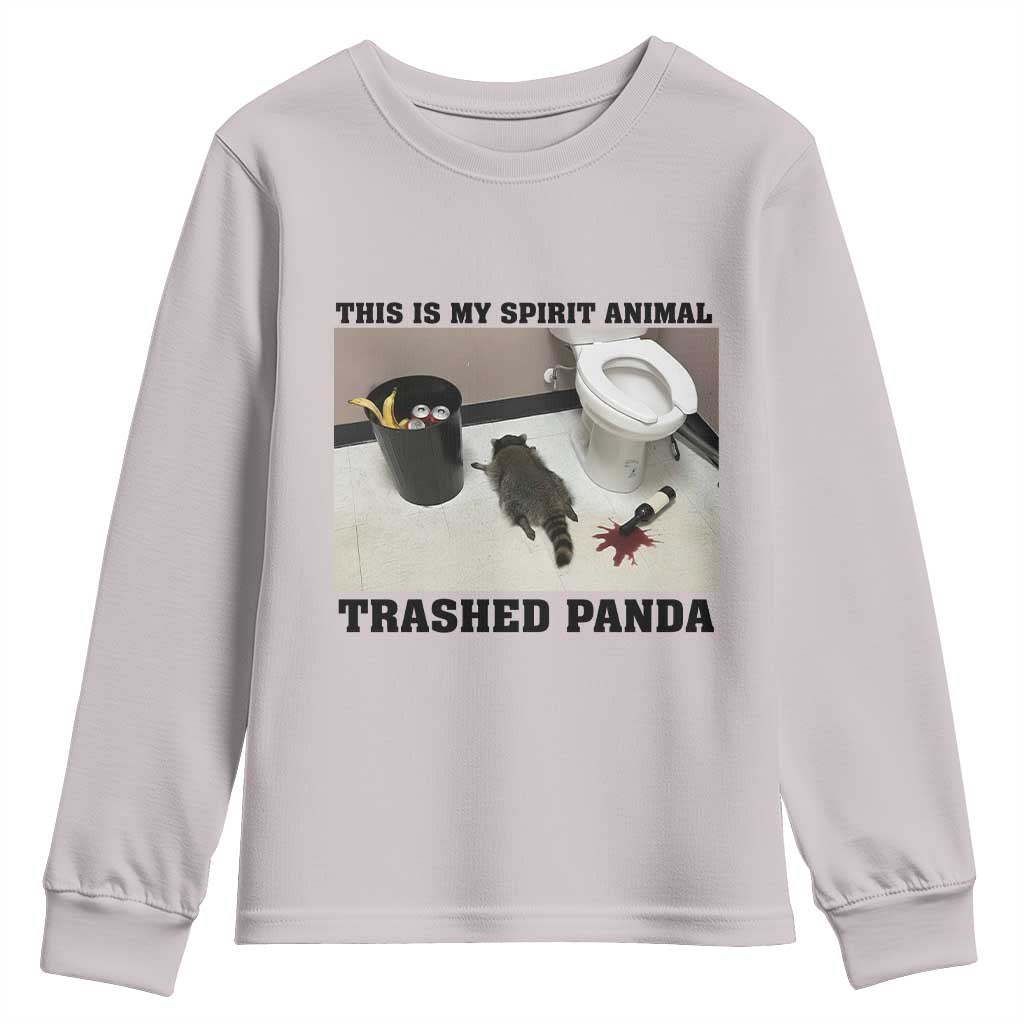 Trashed Panda Youth Sweatshirt My Spirit Animal Funny Drunk Raccoon Meme TS14 Ice Gray Print Your Wear