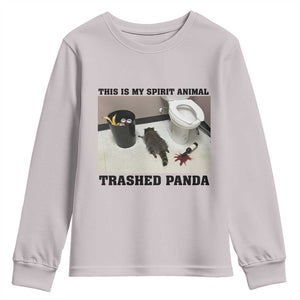 Trashed Panda Youth Sweatshirt My Spirit Animal Funny Drunk Raccoon Meme TS14 Ice Gray Print Your Wear