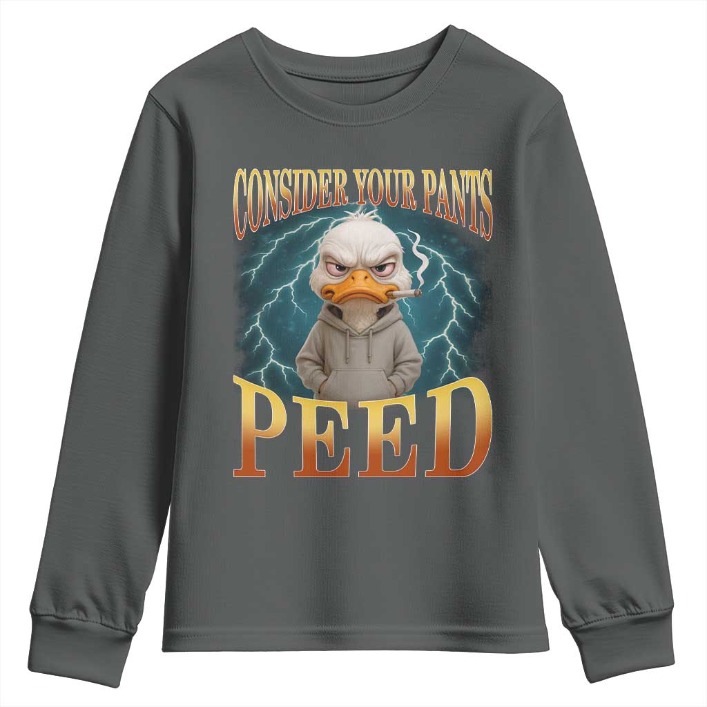 Funny Smoking Goose Meme Youth Sweatshirt Consider Your Pants Peed TS14 Dark Heather Print Your Wear