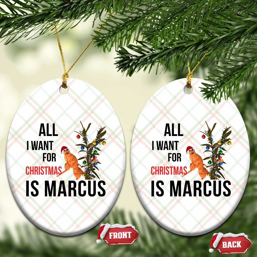 Marcus The Worm Robert Meme Ceramic Ornament All I Want For Christmas Is Marcus TS14 Print Your Wear
