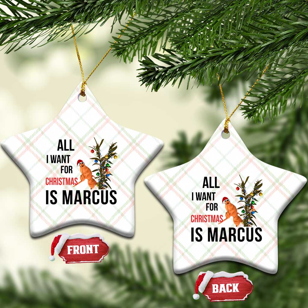Marcus The Worm Robert Meme Ceramic Ornament All I Want For Christmas Is Marcus TS14 Print Your Wear