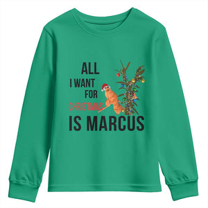 Marcus The Worm Robert Meme Youth Sweatshirt All I Want For Christmas Is Marcus TS14 Irish Green Print Your Wear