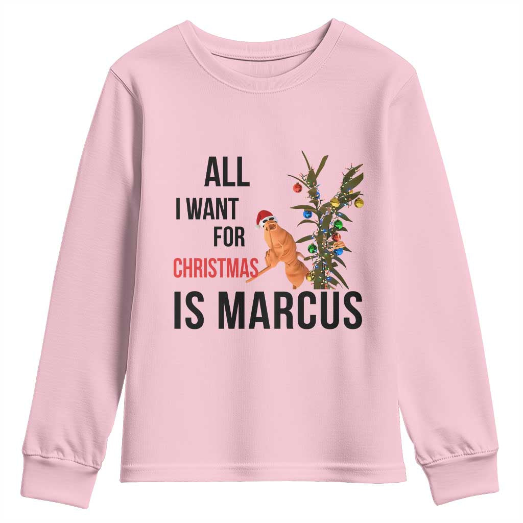 Marcus The Worm Robert Meme Youth Sweatshirt All I Want For Christmas Is Marcus TS14 Light Pink Print Your Wear