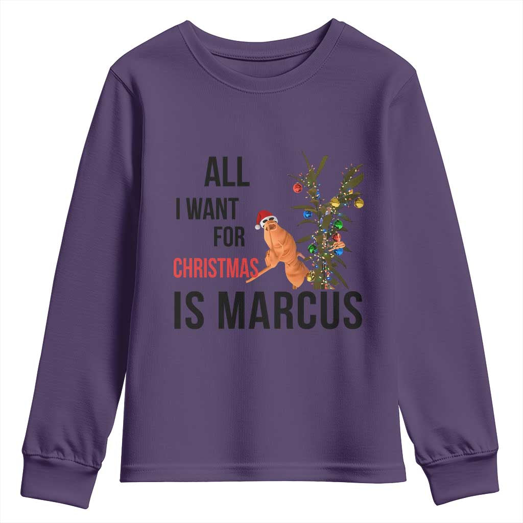 Marcus The Worm Robert Meme Youth Sweatshirt All I Want For Christmas Is Marcus TS14 Purple Print Your Wear