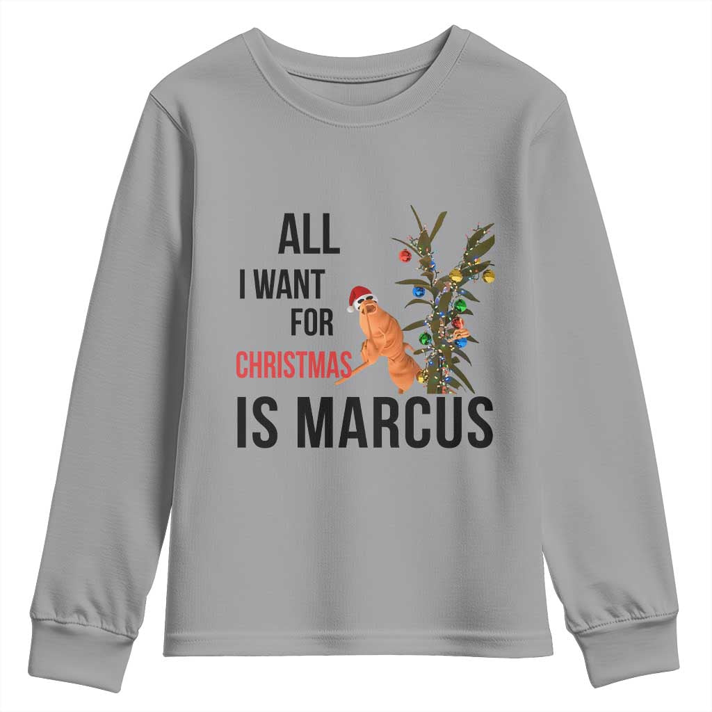 Marcus The Worm Robert Meme Youth Sweatshirt All I Want For Christmas Is Marcus TS14 Sport Gray Print Your Wear