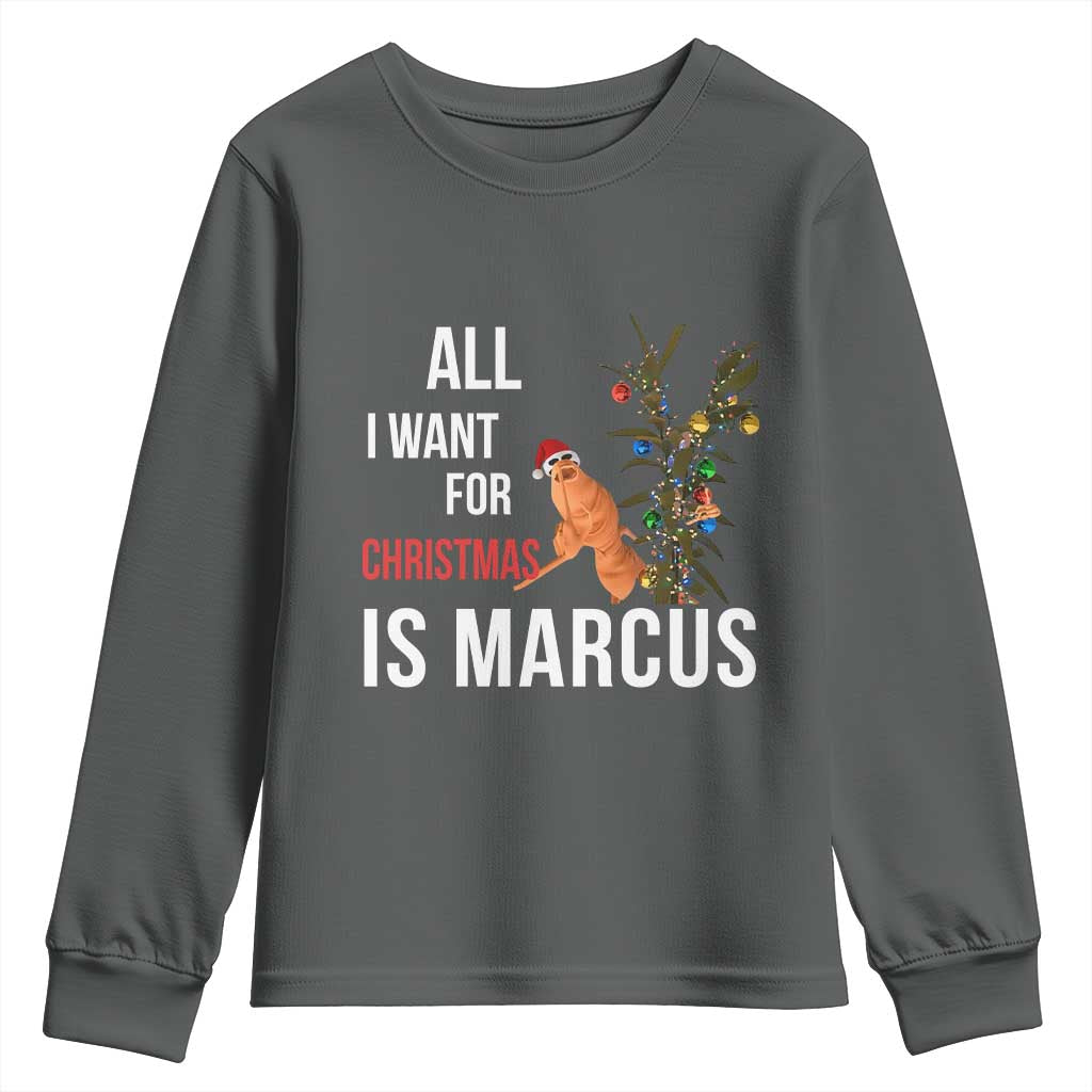 Marcus The Worm Robert Christmas Meme Youth Sweatshirt All I Want For Xmas Is Marcus TS14 Dark Heather Print Your Wear