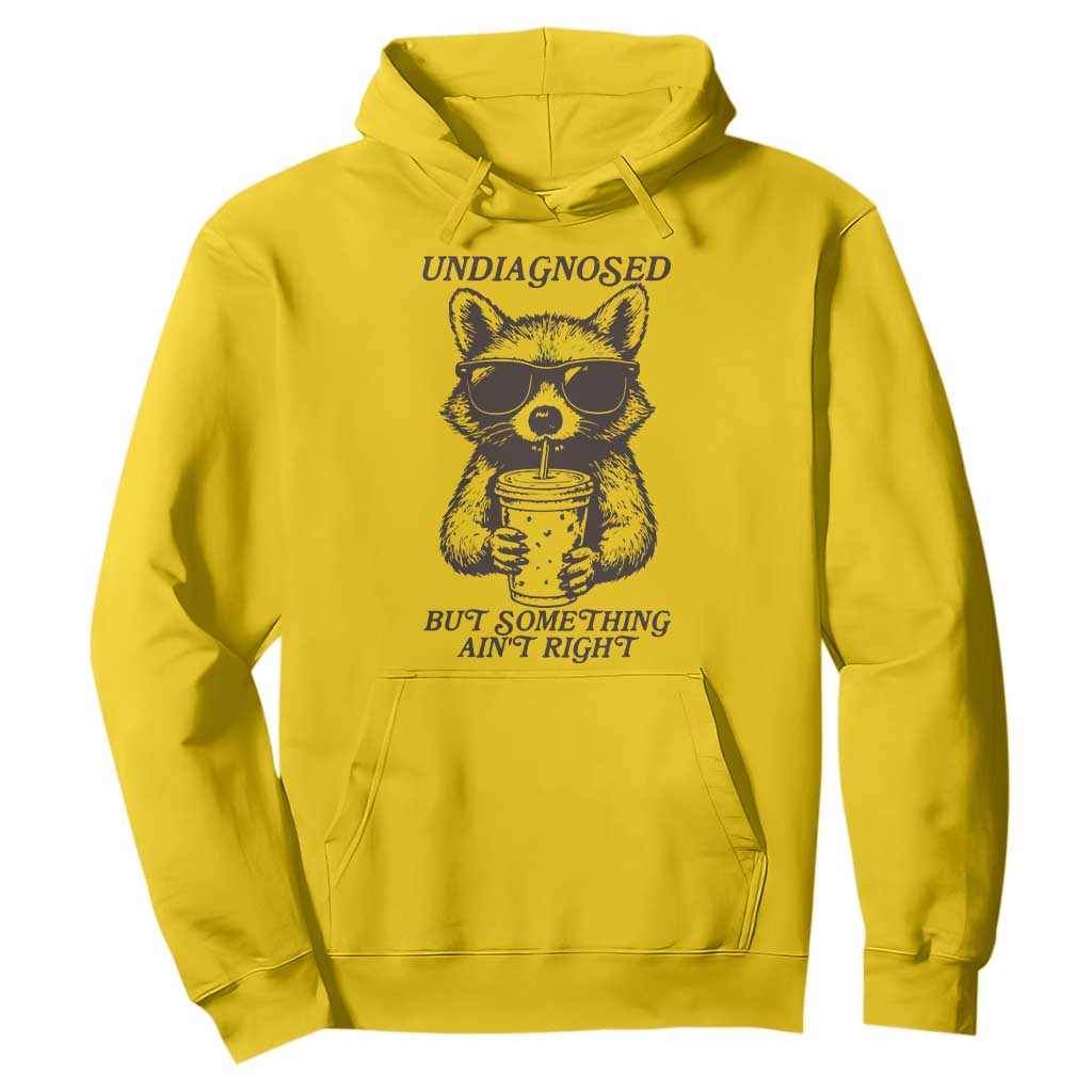 Undiagnosed But Something Aint Right Hoodie Funny Racoon Saying TS14 Daisy Print Your Wear