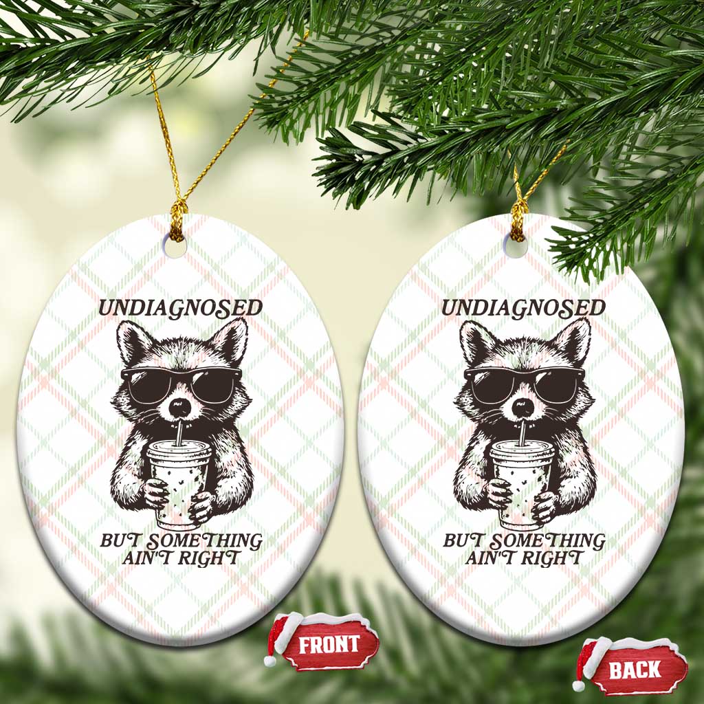Undiagnosed But Something Aint Right Ceramic Ornament Funny Racoon Saying TS14 Print Your Wear