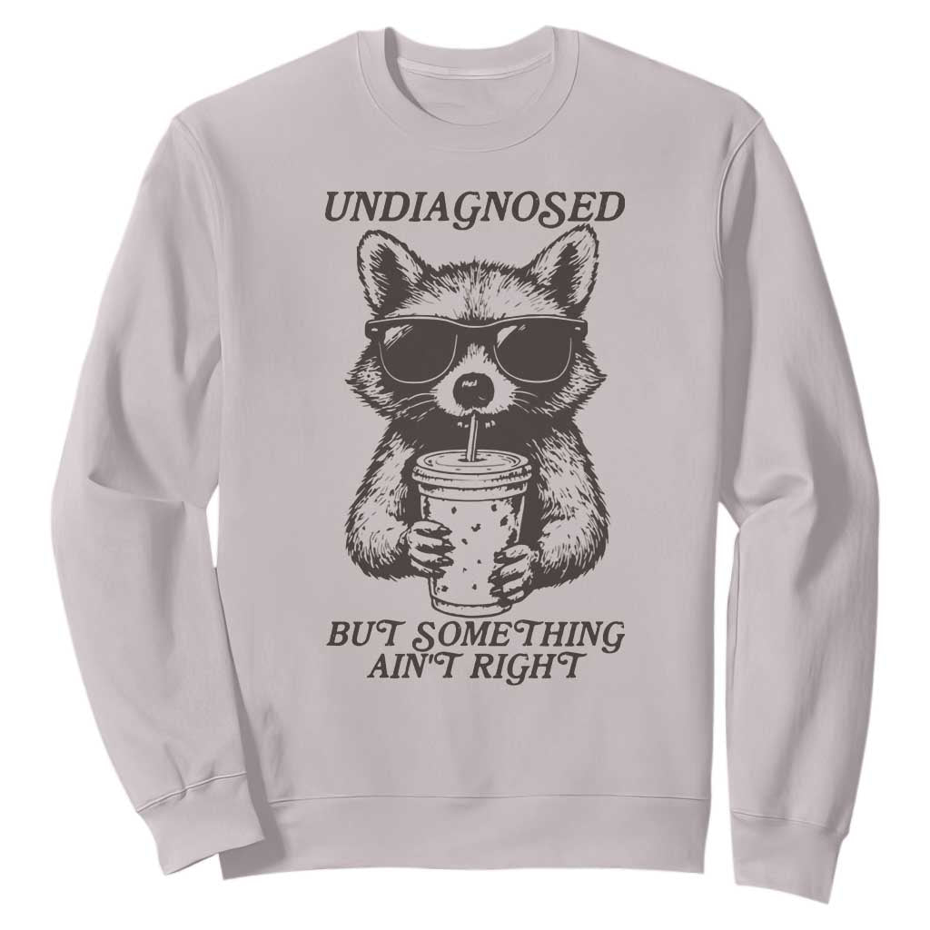 Undiagnosed But Something Aint Right Sweatshirt Funny Racoon Saying TS14 Ice Gray Print Your Wear