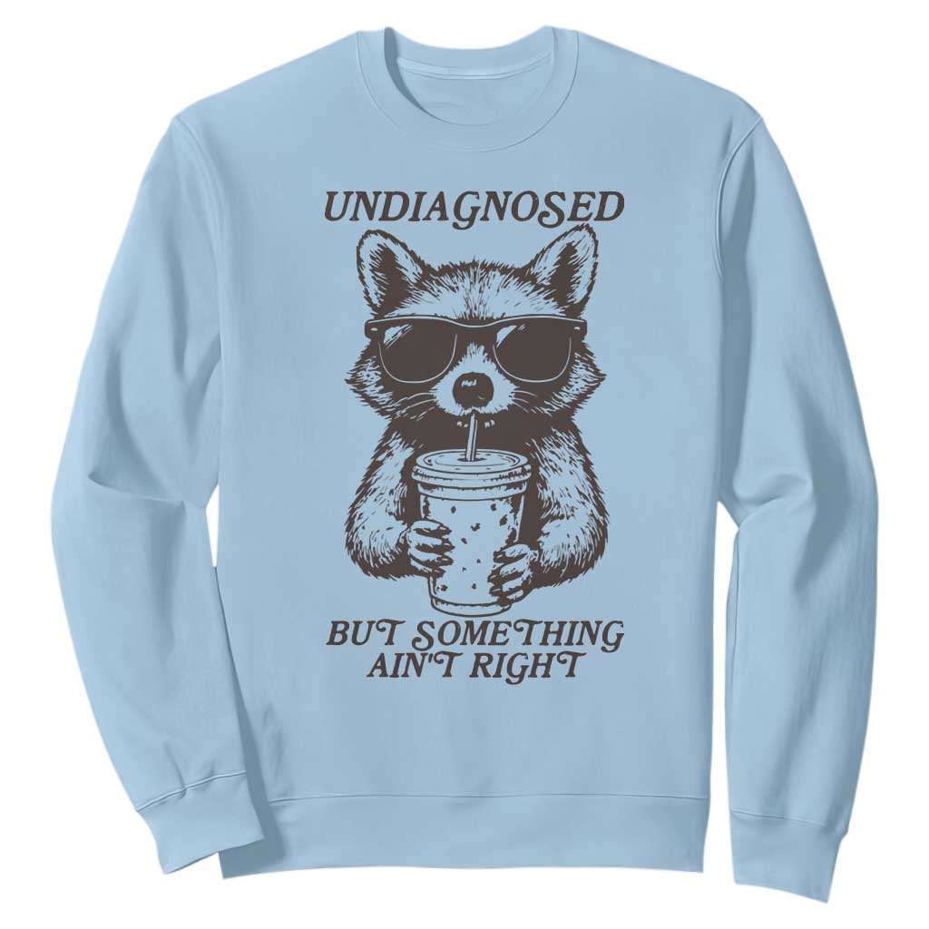 Undiagnosed But Something Aint Right Sweatshirt Funny Racoon Saying TS14 Light Blue Print Your Wear