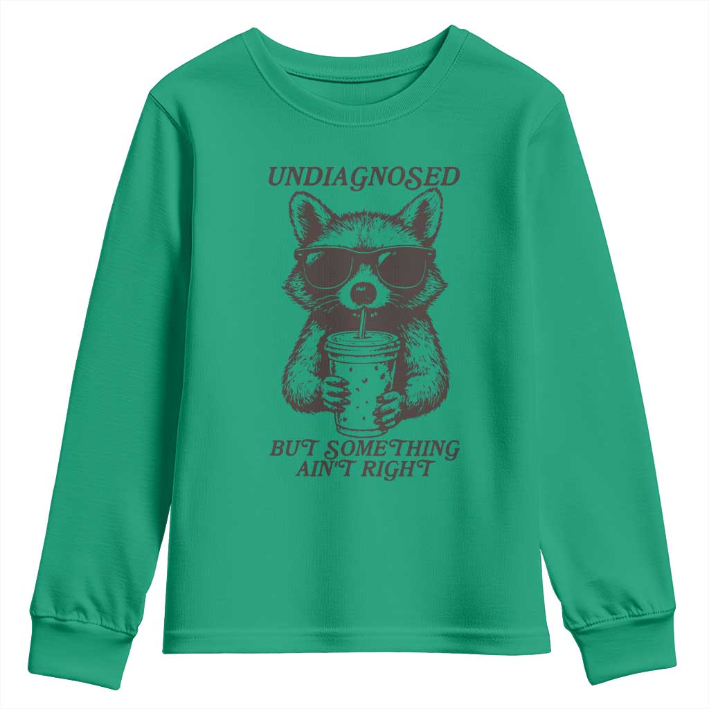 Undiagnosed But Something Aint Right Youth Sweatshirt Funny Racoon Saying TS14 Irish Green Print Your Wear