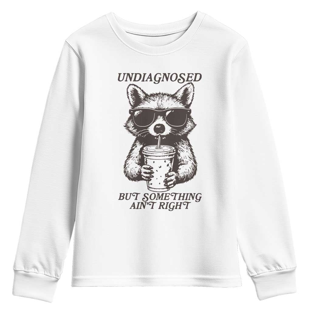 Undiagnosed But Something Aint Right Youth Sweatshirt Funny Racoon Saying TS14 White Print Your Wear
