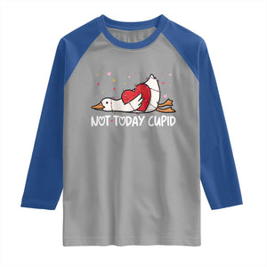 Silly Goose Valentine Raglan Shirt Not Today Cupid TS14 Sport Gray Royal Print Your Wear