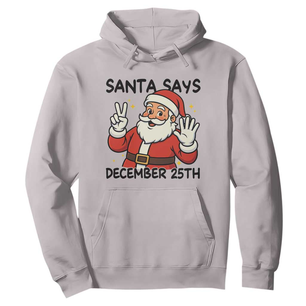 Santa Christmas December 25th Season Hoodie TS14 Ice Gray Print Your Wear