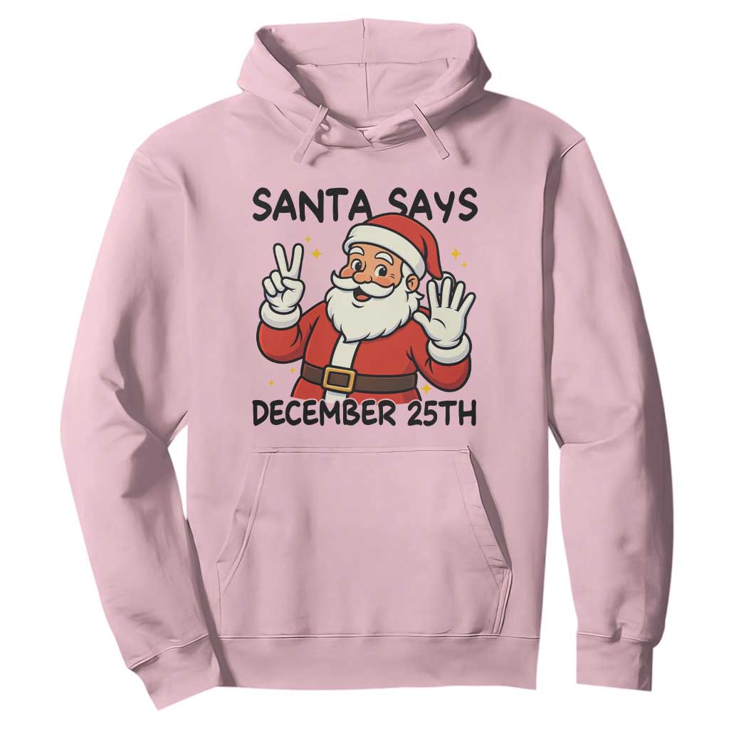 Santa Christmas December 25th Season Hoodie TS14 Light Pink Print Your Wear