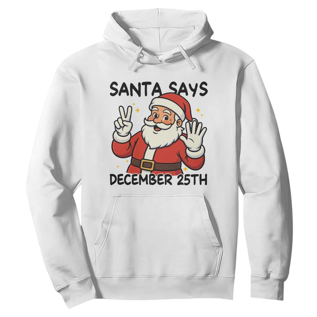 Santa Christmas December 25th Season Hoodie - Print Your Wear