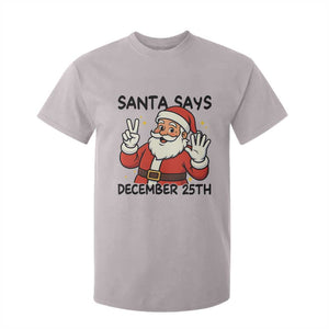 Santa Christmas December 25th Season T Shirt For Kid TS14 Ice Gray Print Your Wear