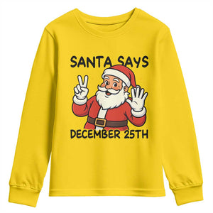 Santa Christmas December 25th Season Youth Sweatshirt TS14 Daisy Print Your Wear