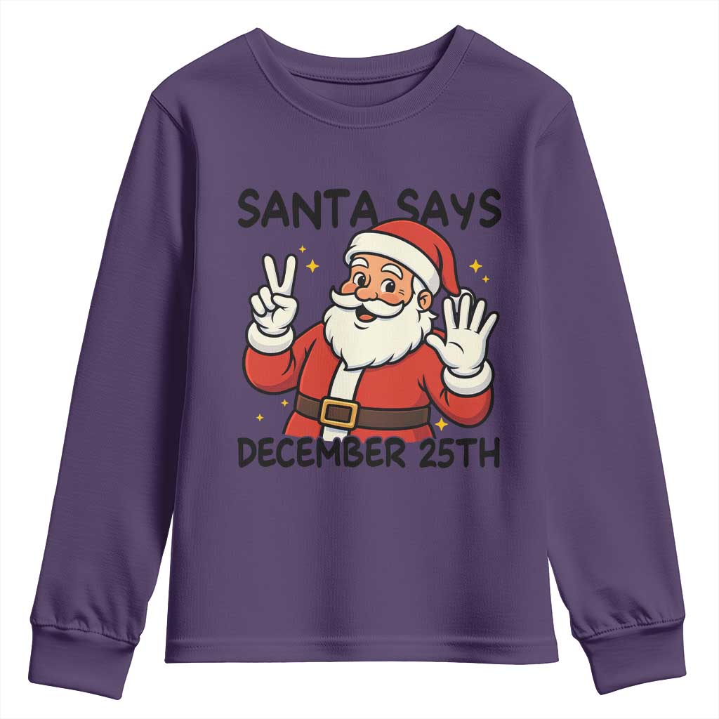 Santa Christmas December 25th Season Youth Sweatshirt TS14 Purple Print Your Wear