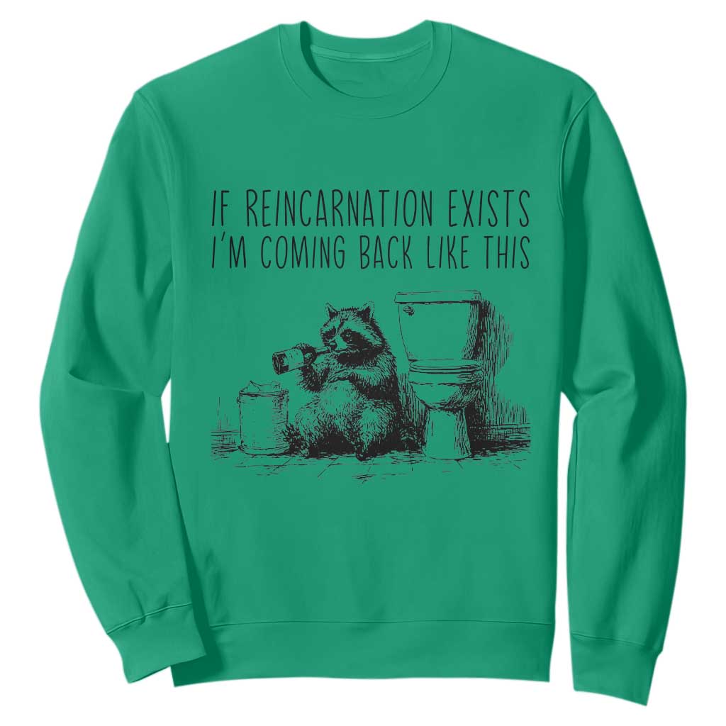 Funny Drunk Raccoon Sweatshirt Trashed Panda Meme TS14 Irish Green Print Your Wear