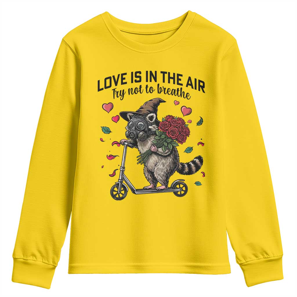 Funny Raccoon Scooter Anti Valentine Youth Sweatshirt Love Is In The Air Try Not To Breathe TS14 Daisy Print Your Wear